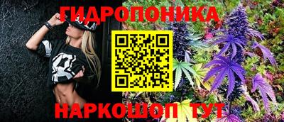 кокс Моздок