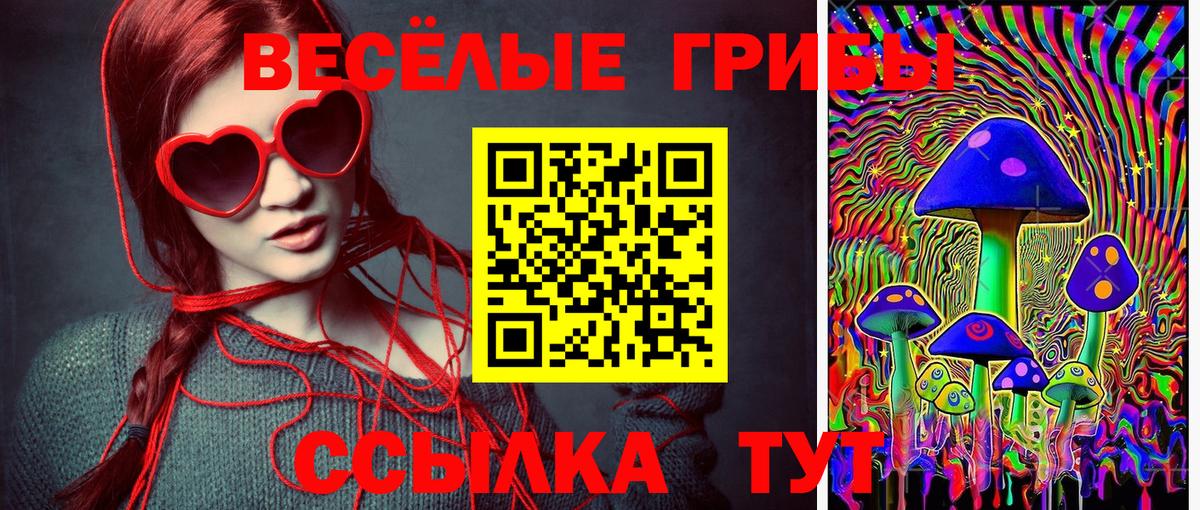 Псилоцибиновые грибы Psilocybe  Вход с VPN  Ханты-Мансийск 